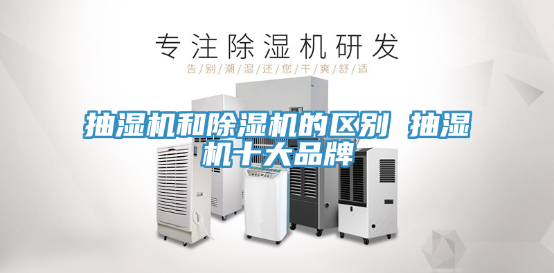 抽湿机和小黄片直播视频的区别 抽湿机十大品牌