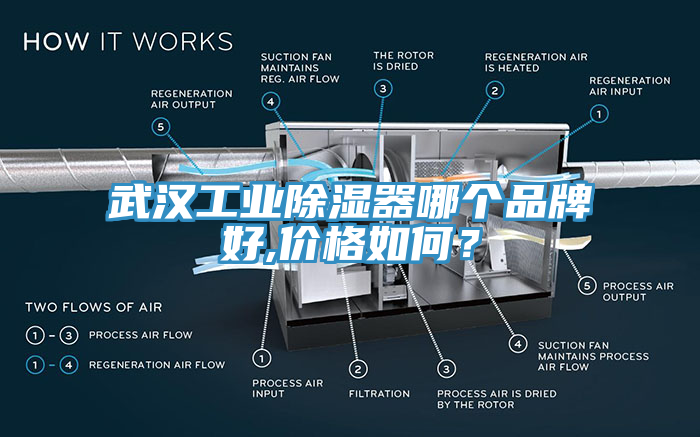武汉工业除湿器哪个品牌好,价格如何？