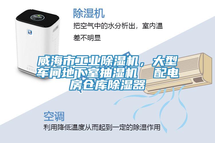 威海市工业小黄片直播视频，大型车间地下室抽湿机  配电房仓库除湿器
