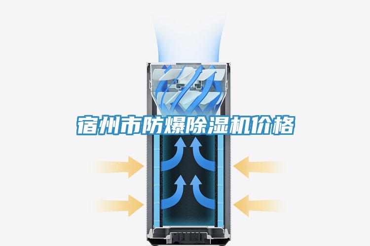 宿州市防爆小黄片直播视频价格