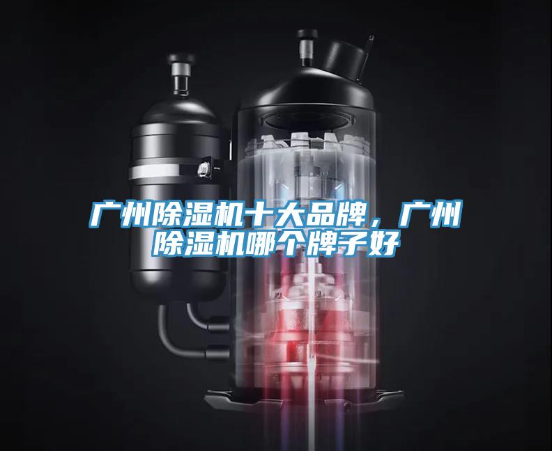 广州小黄片直播视频十大品牌，广州小黄片直播视频哪个牌子好