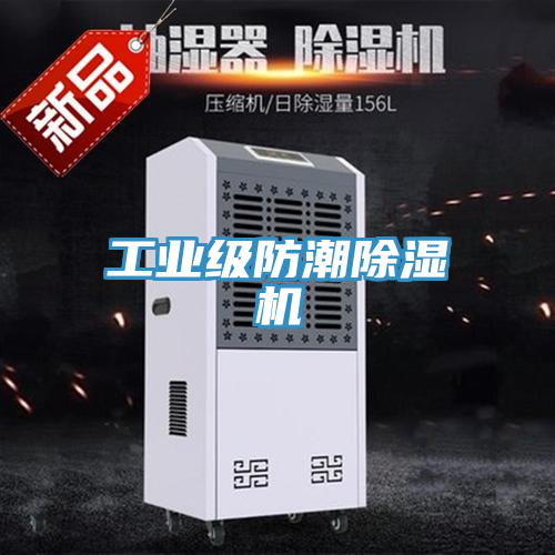 工业级防潮小黄片直播视频