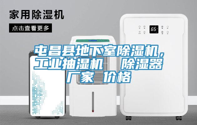 屯昌县地下室小黄片直播视频，工业抽湿机  除湿器厂家 价格