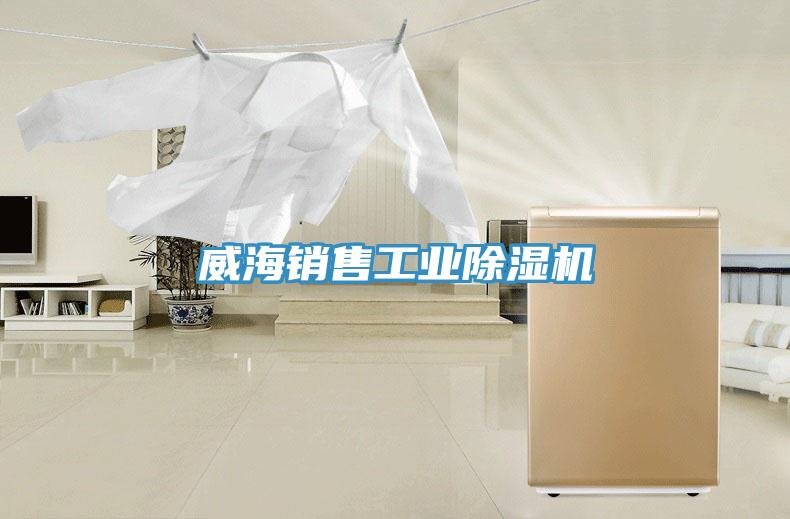 威海销售工业小黄片直播视频