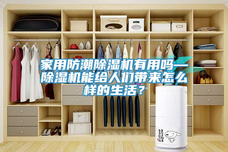家用防潮小黄片直播视频有用吗—小黄片直播视频能给人们带来怎么样的生活？