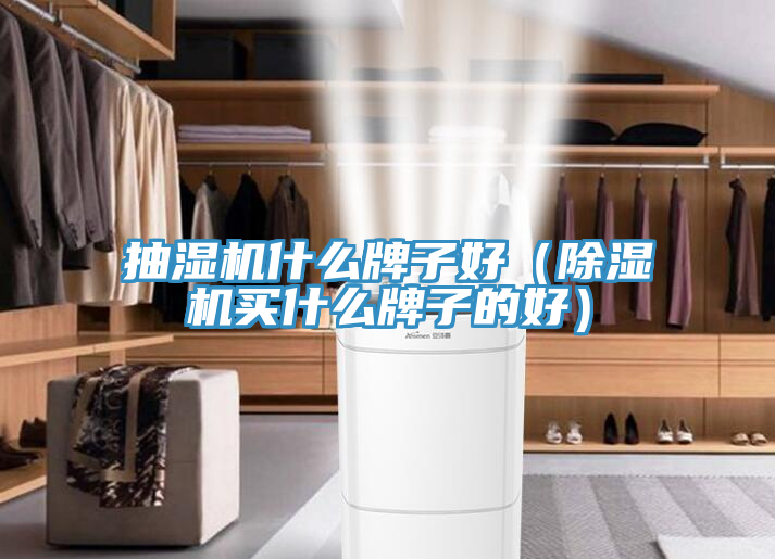 抽湿机什么牌子好（小黄片直播视频买什么牌子的好）
