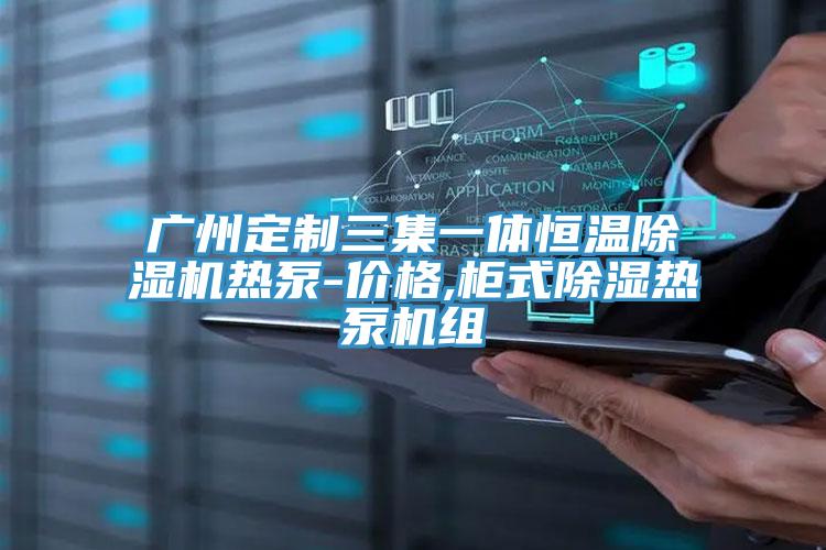 广州定制三集一体恒温小黄片直播视频热泵-价格,柜式除湿热泵机组