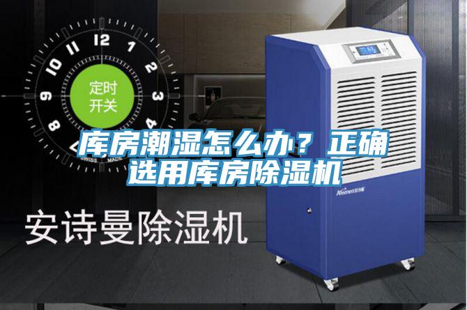 库房潮湿怎么办？正确选用库房小黄片直播视频