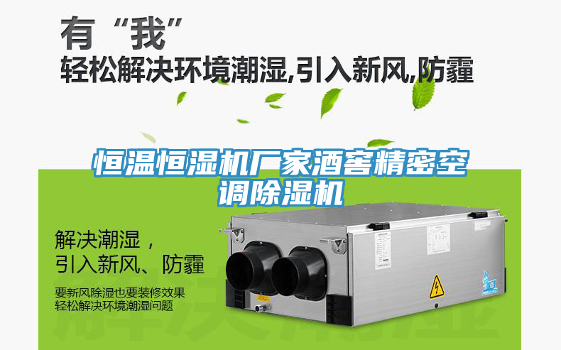 恒温恒湿机厂家酒窖精密空调小黄片直播视频
