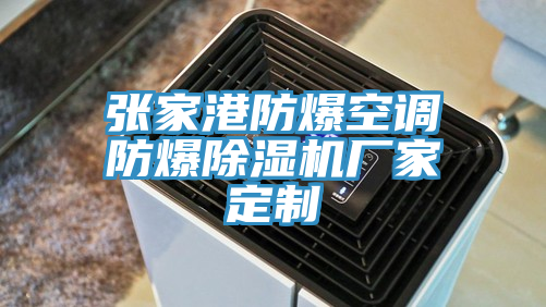 张家港防爆空调防爆小黄片直播视频厂家定制