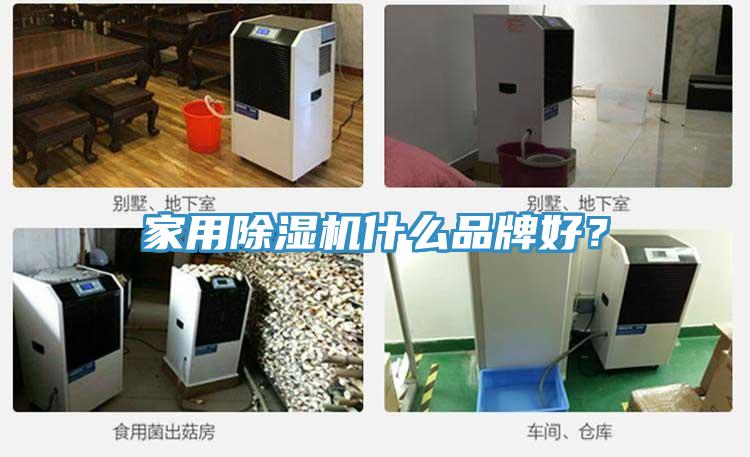 家用小黄片直播视频什么品牌好？