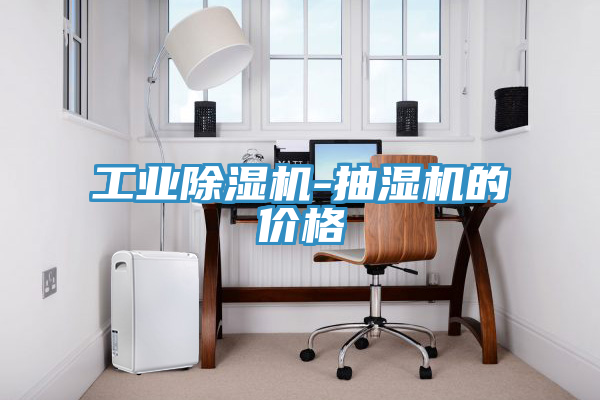 工业小黄片直播视频-抽湿机的价格
