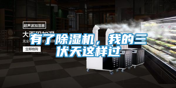 有了小黄片直播视频，我的三伏天这样过
