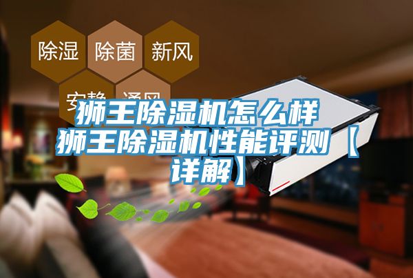 狮王小黄片直播视频怎么样 狮王小黄片直播视频性能评测【详解】