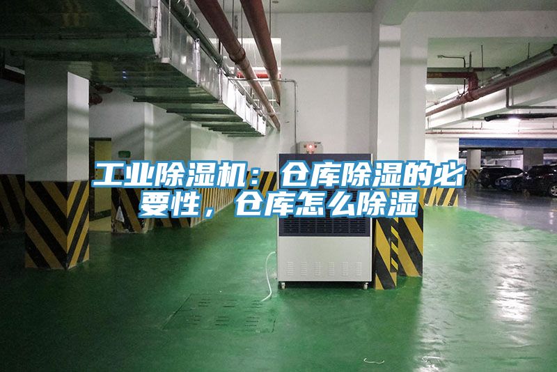 工业小黄片直播视频：仓库除湿的必要性，仓库怎么除湿