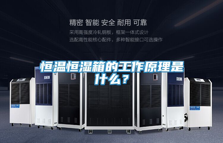 恒温恒湿箱的工作原理是什么？