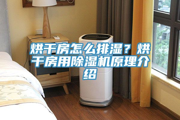 烘干房怎么排湿？烘干房用小黄片直播视频原理介绍