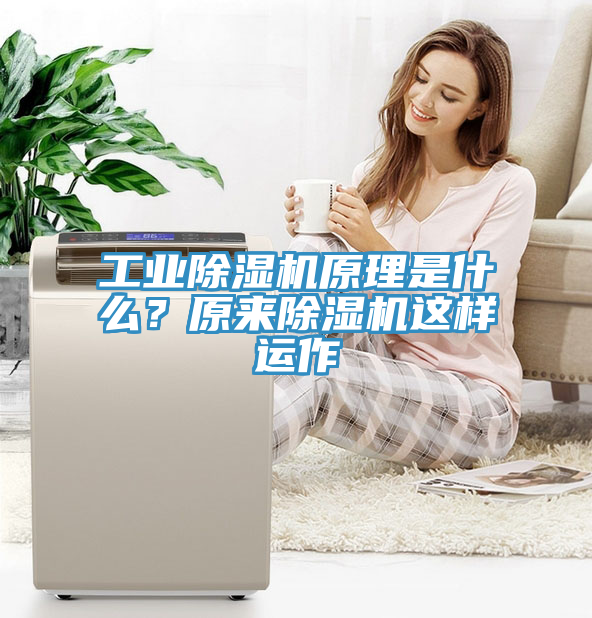 工业小黄片直播视频原理是什么？原来小黄片直播视频这样运作