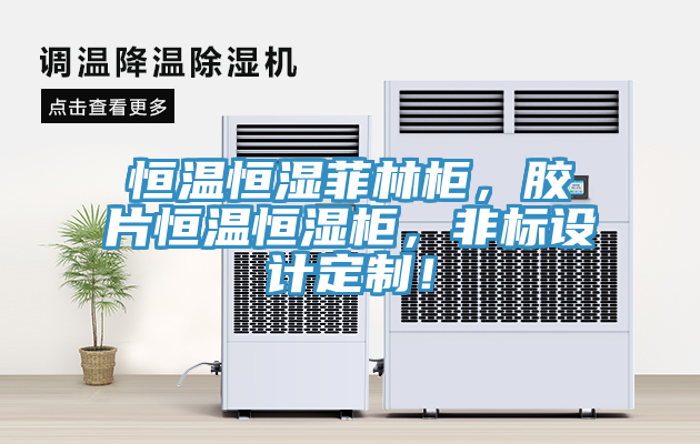 恒温恒湿菲林柜，胶片恒温恒湿柜，非标设计定制！