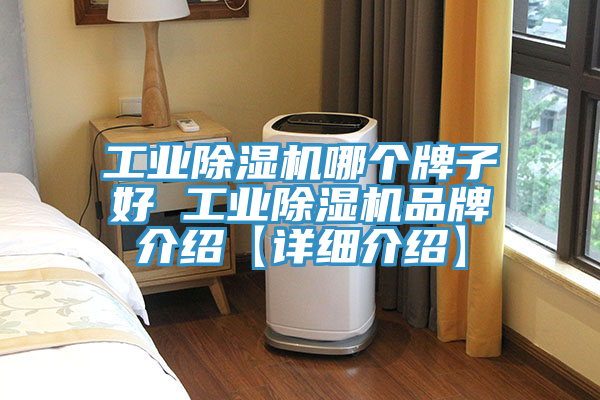 工业小黄片直播视频哪个牌子好 工业小黄片直播视频品牌介绍【详细介绍】