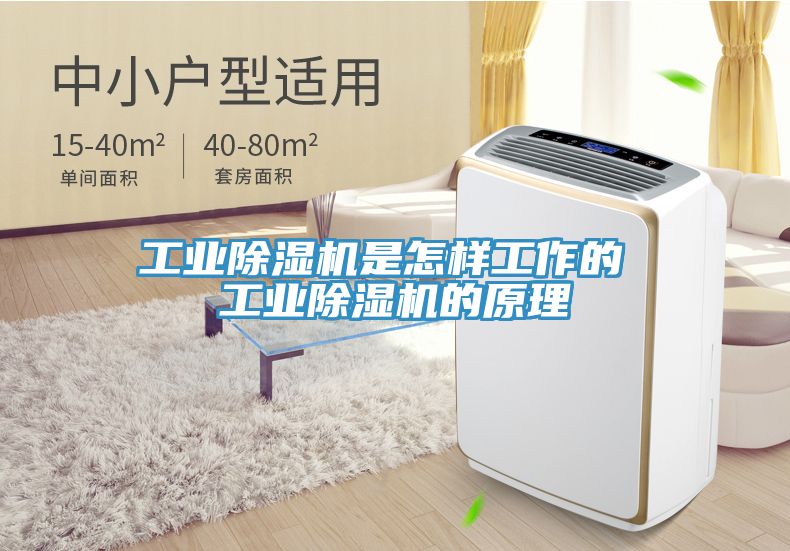 工业小黄片直播视频是怎样工作的 工业小黄片直播视频的原理