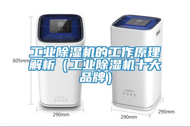 工业小黄片直播视频的工作原理解析（工业小黄片直播视频十大品牌）