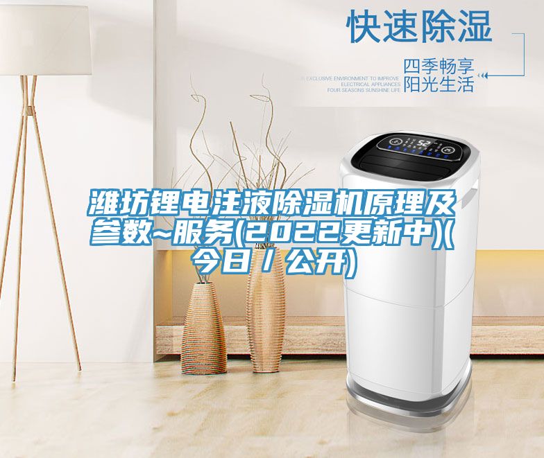 潍坊锂电注液小黄片直播视频原理及参数~服务(2022更新中)(今日／公开)