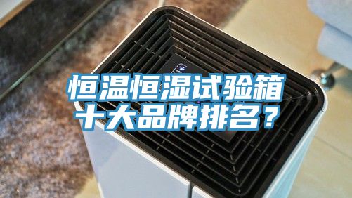 恒温恒湿试验箱十大品牌排名？