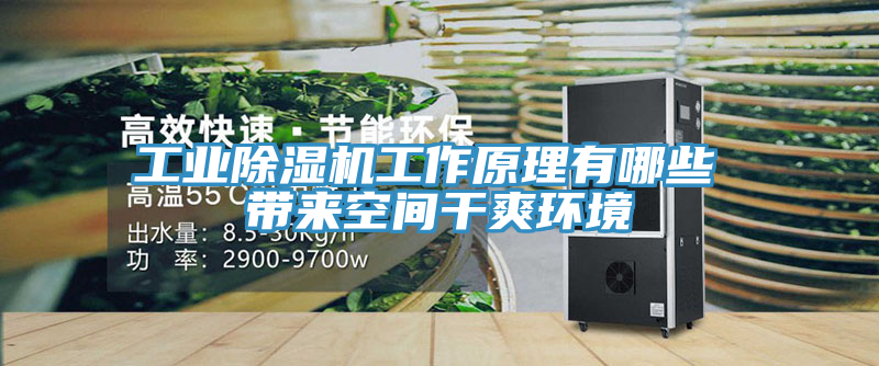 工业小黄片直播视频工作原理有哪些 带来空间干爽环境