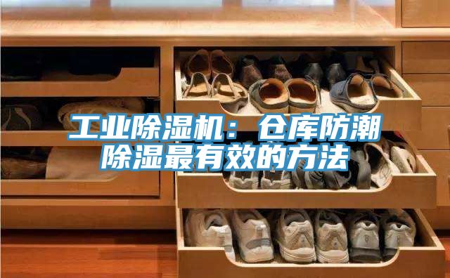 工业小黄片直播视频：仓库防潮除湿最有效的方法