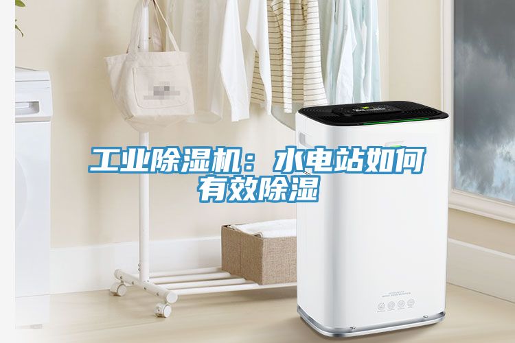 工业小黄片直播视频：水电站如何有效除湿
