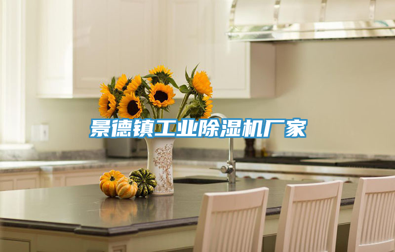 景德镇工业小黄片直播视频厂家