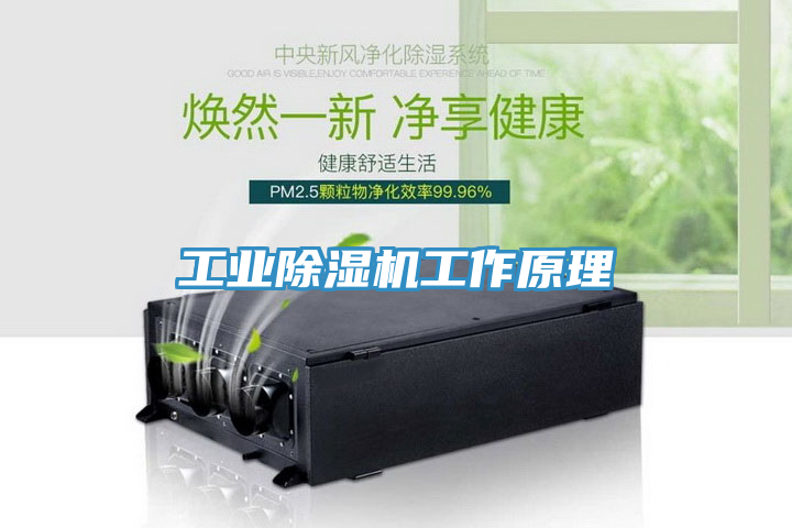 工业小黄片直播视频工作原理