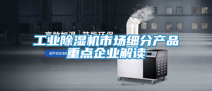 工业小黄片直播视频市场细分产品重点企业解读