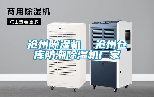 沧州小黄片直播视频  沧州仓库防潮小黄片直播视频厂家