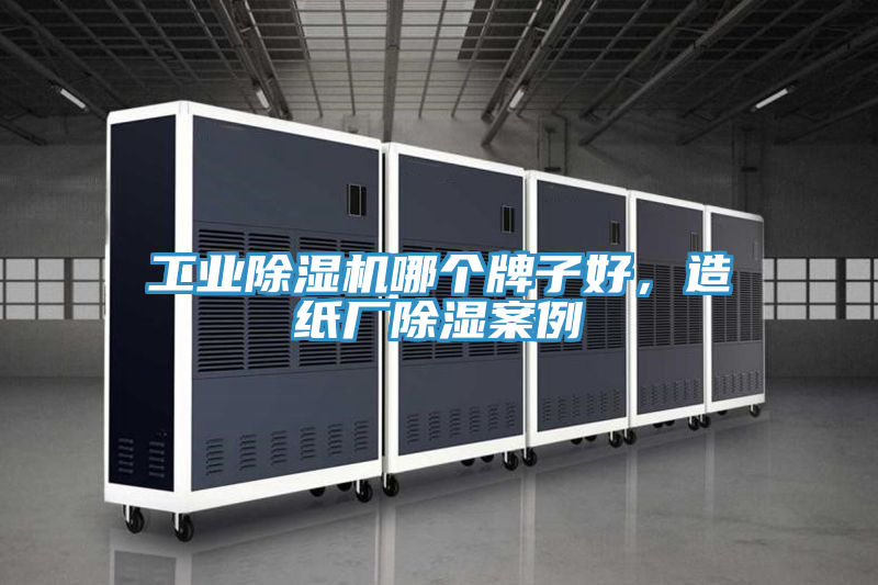 工业小黄片直播视频哪个牌子好，造纸厂除湿案例