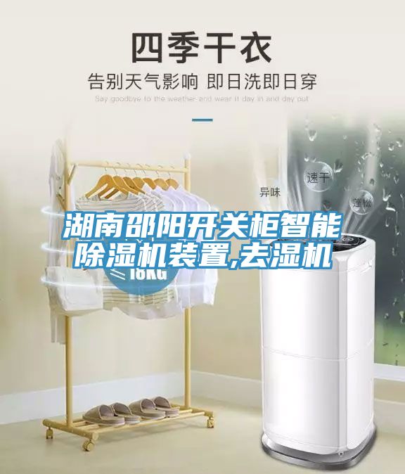 湖南邵阳开关柜智能小黄片直播视频装置,去湿机