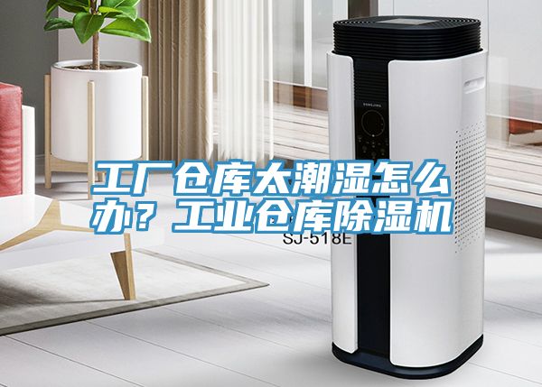 工厂仓库太潮湿怎么办？工业仓库小黄片直播视频