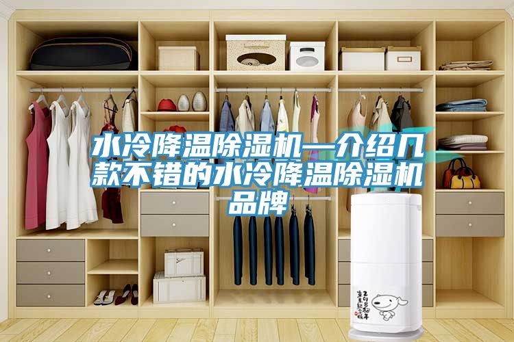 水冷降温小黄片直播视频—介绍几款不错的水冷降温小黄片直播视频品牌