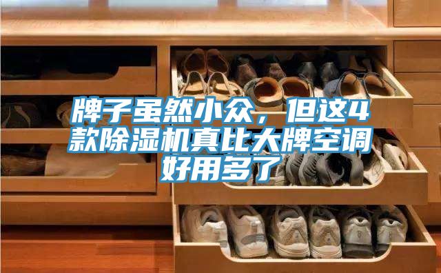 牌子虽然小众，但这4款小黄片直播视频真比大牌空调好用多了