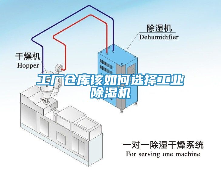 工厂仓库该如何选择工业小黄片直播视频