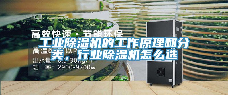 工业小黄片直播视频的工作原理和分类，行业小黄片直播视频怎么选