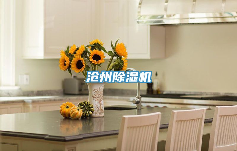 沧州小黄片直播视频