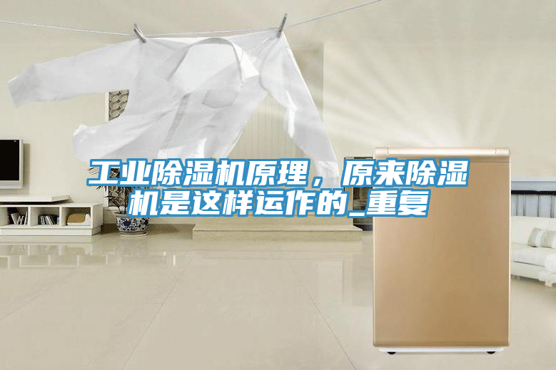 工业小黄片直播视频原理，原来小黄片直播视频是这样运作的_重复