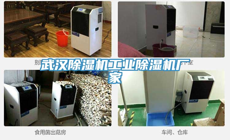 武汉小黄片直播视频工业小黄片直播视频厂家