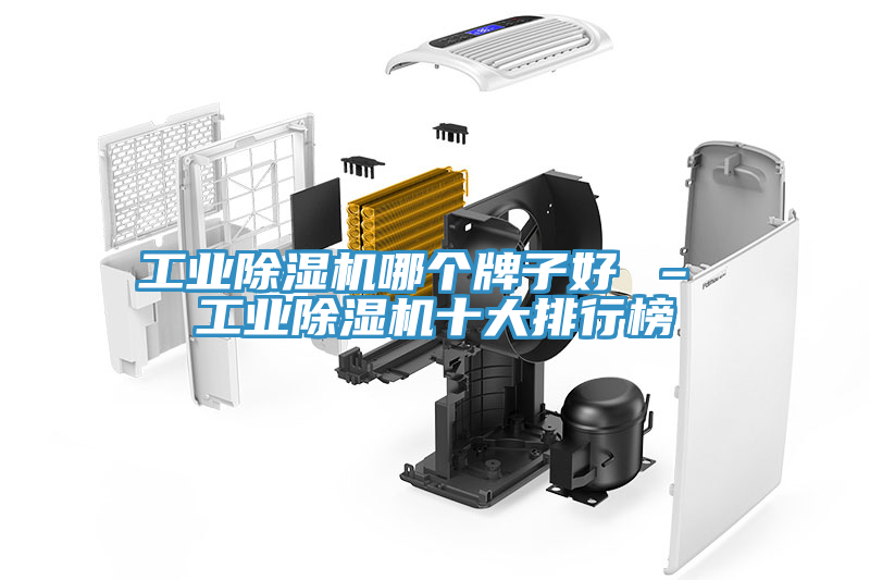 工业小黄片直播视频哪个牌子好 – 工业小黄片直播视频十大排行榜