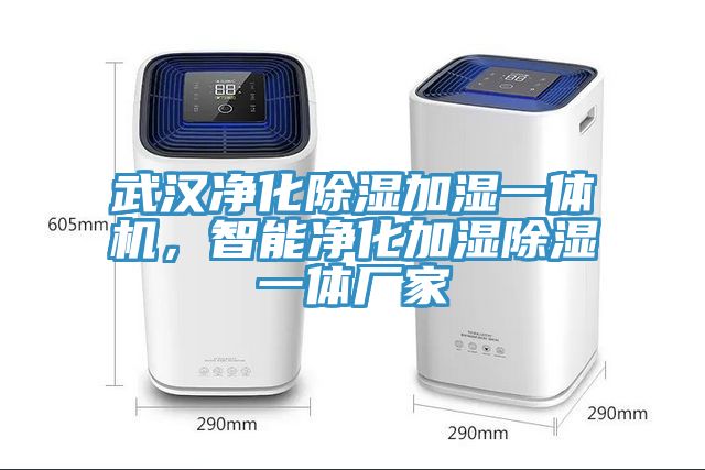 武汉净化除湿加湿一体机，智能净化加湿除湿一体厂家