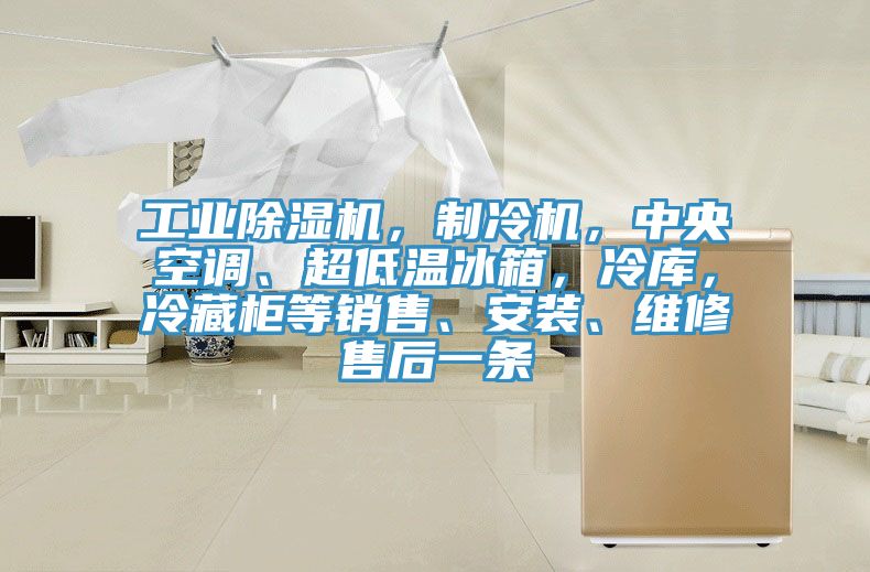 工业小黄片直播视频，制冷机，中央空调、超低温冰箱，冷库，冷藏柜等销售、安装、维修售后一条