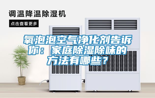 氧泡泡空气净化剂告诉你：家庭除湿除味的方法有哪些？
