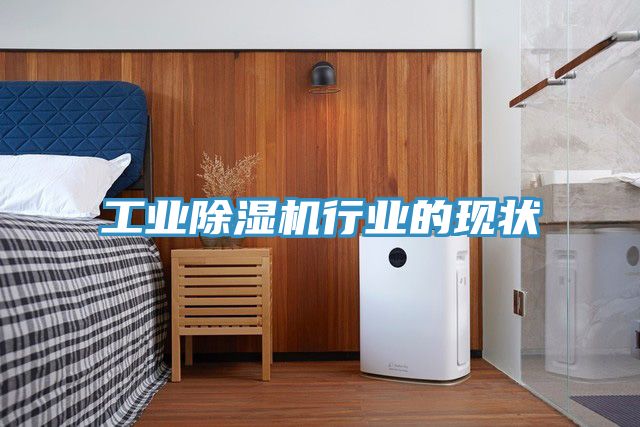 工业小黄片直播视频行业的现状